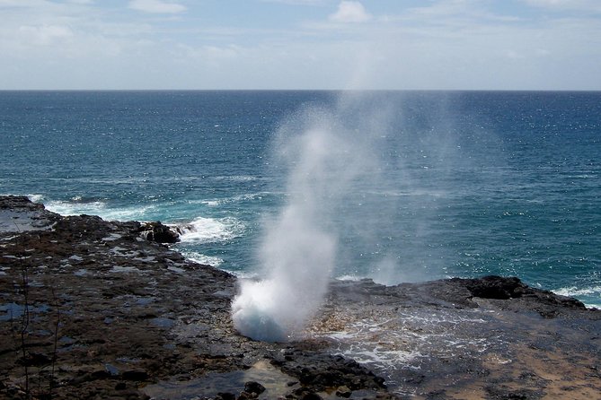 Private Luxury Tour of Kauai: South & West Shores - Customizing Your Luxury Tour