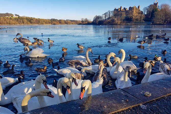 Private Luxury Tour of Loch Lomond, Oban, Glencoe & The Highlands - Booking and Cancellation