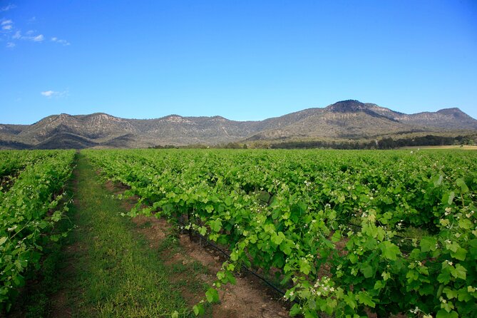 Private Luxury Tour: Tastes of the Hunter Valley - Tour Stops