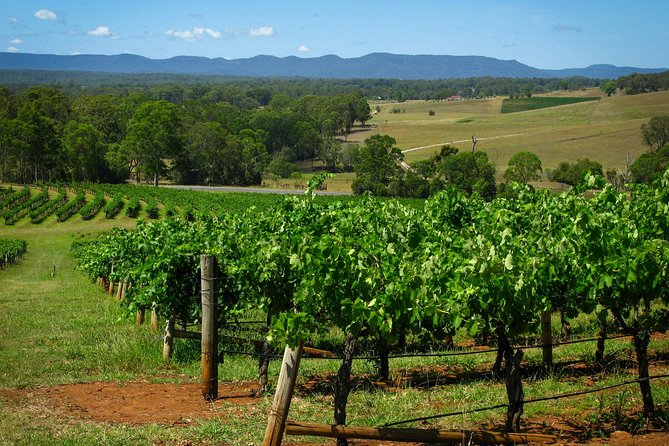 Private Luxury Tour: Tastes of the Hunter Valley - Binnorie Dairy Lovedale