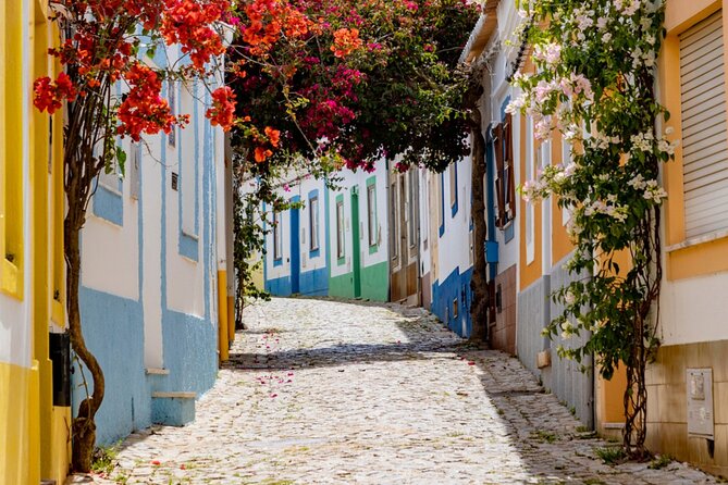 Private Luxury Transfer From Lisbon to Algarve (Or Vice-Versa) - Customer Reviews