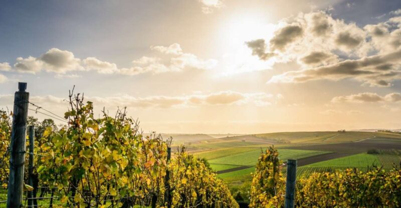 Private Luxury Transfer From Paris to Reims or Épernay - Pickup and Drop-off