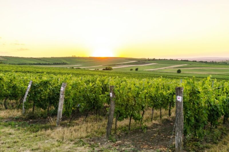 Private Luxury Transfer From Paris to Reims or Épernay - Booking Information
