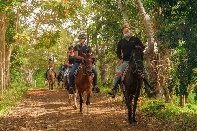 Private Luxury Transfer to Hacienda Carabalí - Authentic Experiences and Real Reviews