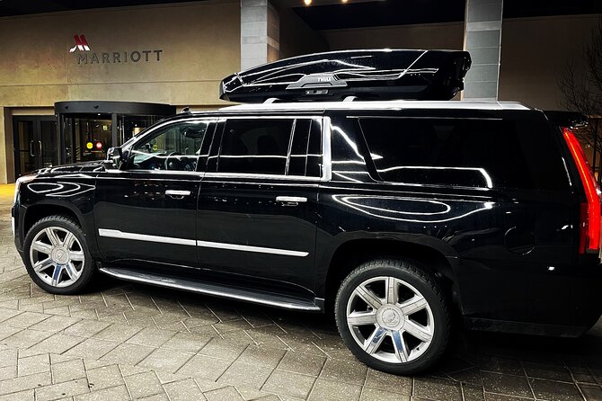 Private Luxury Transportation From Airport to Denver - Accessibility Options
