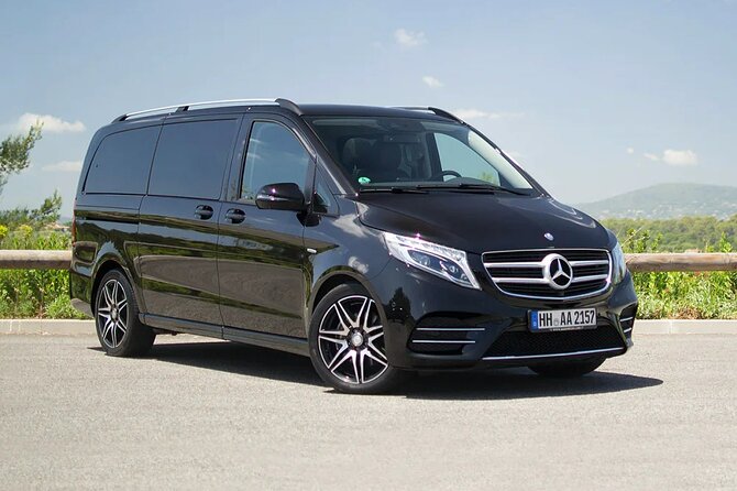 Private Luxury Van Departure From Copenhagen to Copenhagen Port - Booking and Cancellation