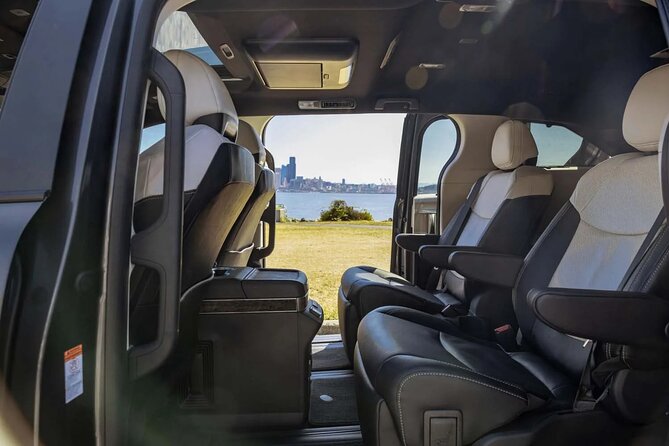 Private Luxury Van Nashville Tour - Accessibility and Participation