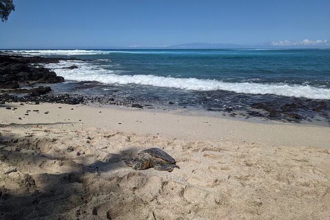 Private Luxury Van With Driver to Big Island Destinations of Your Choice - Customer Reviews