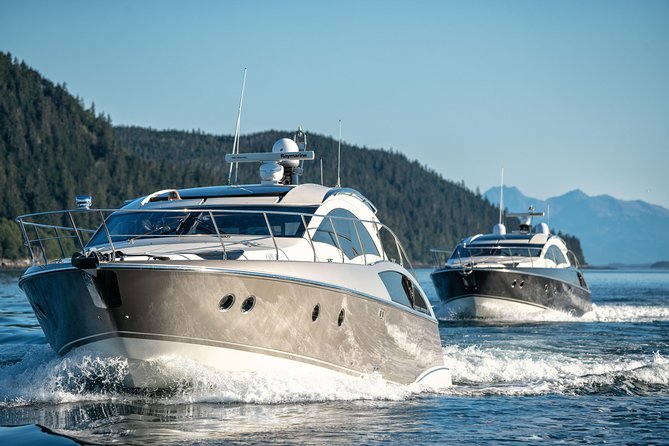 Private Luxury Whale Watch - Refreshments and Beverages Included