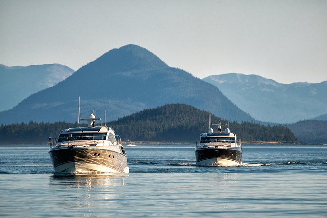 Private Luxury Whale Watch - Cancellation and Weather Policy