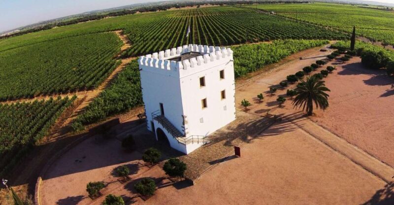 Private Luxury Wine & Food Tour in Alentejo - Activities and Highlights