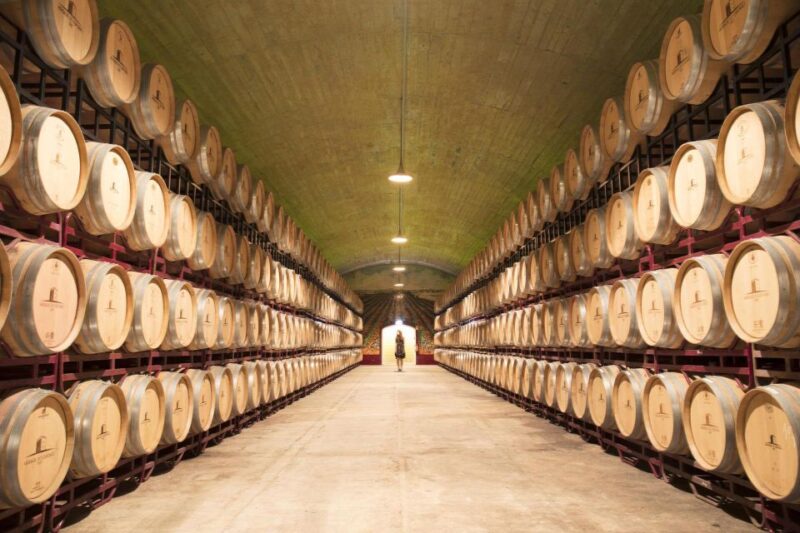 Private Luxury Wine & Food Tour in Alentejo - Wine Tasting and Regional Snacks