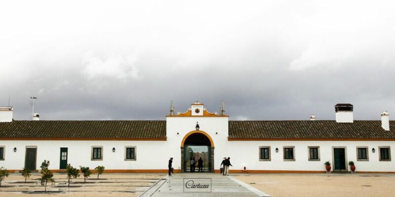 Private Luxury Wine & Food Tour in Alentejo - Scenic Landscapes and Travel
