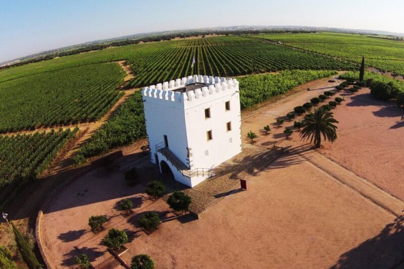 Private Luxury Wine & Food Tour in Alentejo - Alentejo Cuisine and Tasting Menu