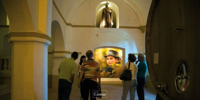 Private Luxury Wine & Food Tour in Alentejo - Frequently Asked Questions