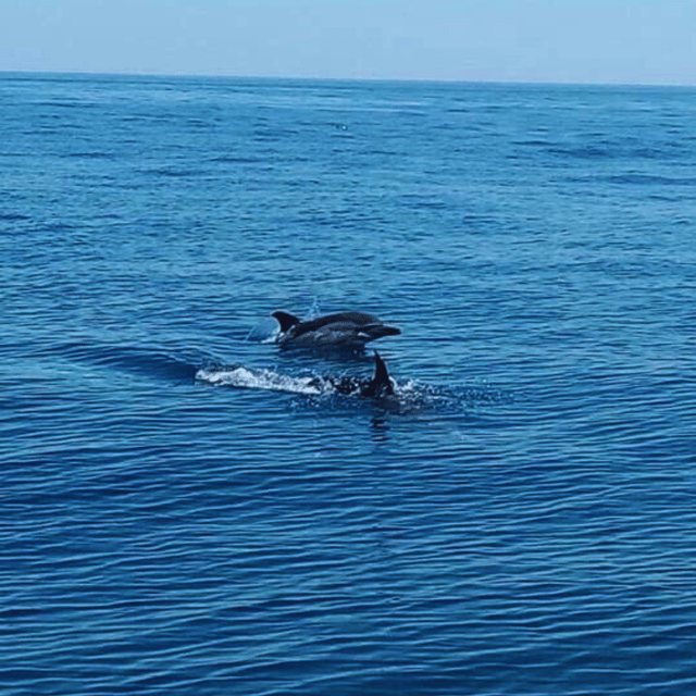 Private Luxury Yacht Charter - Vilamoura - Beverages and Cuisine