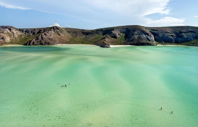 Private Luxury Yacht Tour to Balandra Beach & Isla Espritu Santo - Key Points