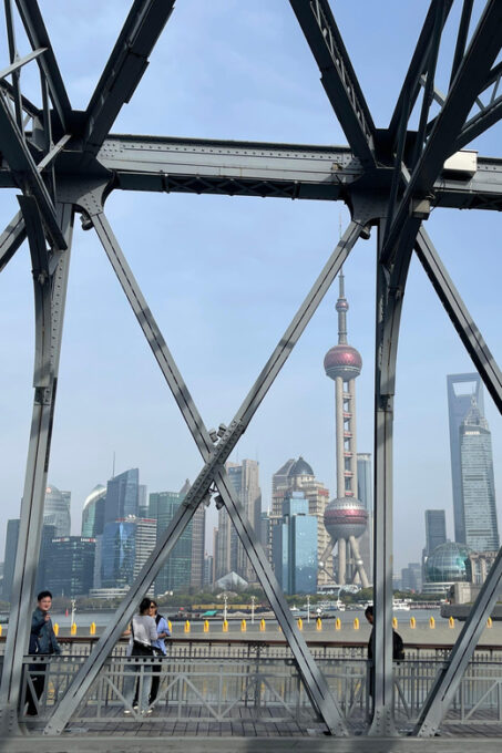 Private Lyaover: Cruising Shanghai in A Tesla - Layover Convenience
