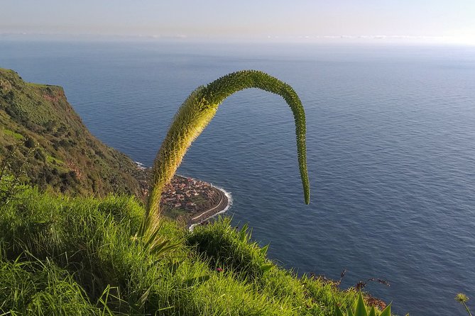 Private Madeira Tour up to 4 People - Exploring Madeira