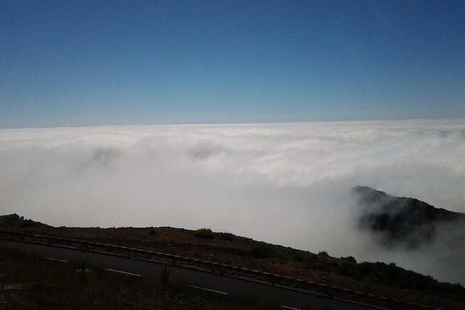 Private Madeira Tour up to 4 People - Traveler Reviews