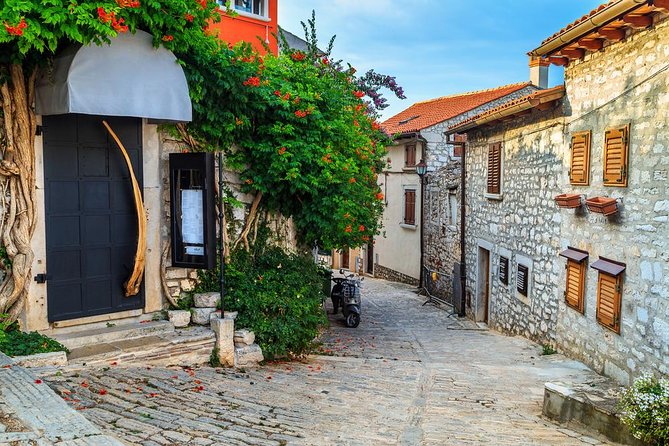 Private Magic of Istra Tour From Ljubljana - Convenience Features