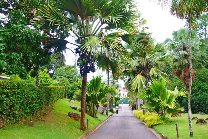 Private Mahe Island Full Day Tour With Pickup - Traveler Amenities