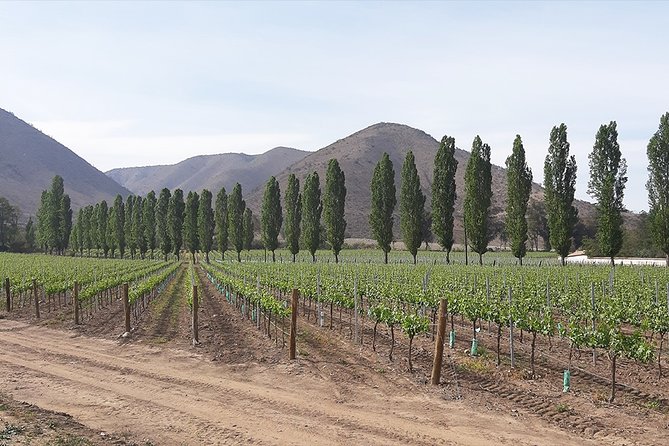 Private Maipo Valley Historic Wine Tour: Santa Rita and Concha Y Toro Vineyards - Tour Inclusions and Duration