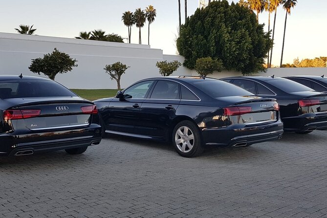 Private Malaga Transfer: Central Malaga and Costa Del Sol to Cruise Port - Drop-off Point