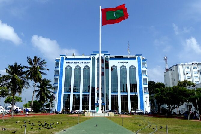 Private Male City Walking Tour With Optional Vilimale Tour - Key Points