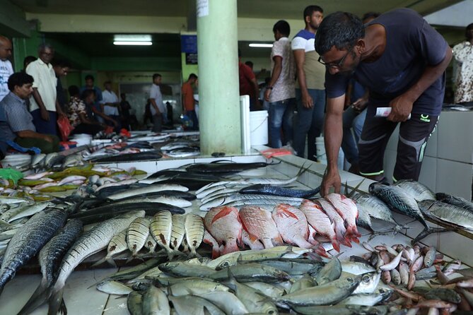 Private Male City Walking Tour With Optional Vilimale Tour - Explore Males Historical Sites