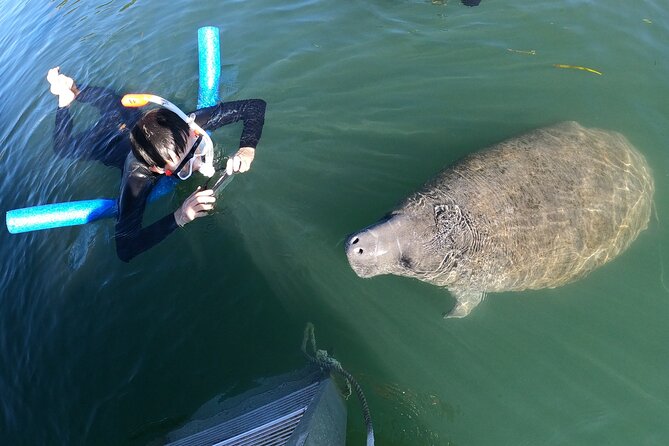 Private Manatee Snorkeling Tour - Policies