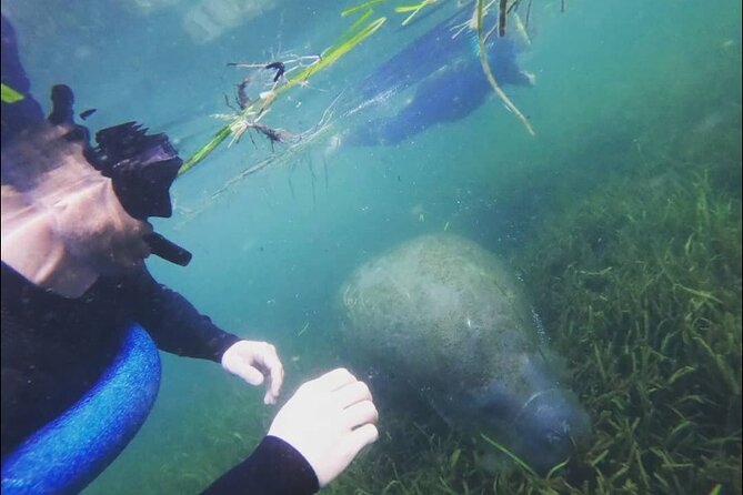 Private Manatee Snorkeling Tour - Safety Considerations