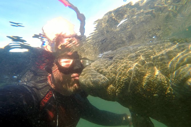 Private Manatee Swim for up to 6 With In-Water Divemaster/Photographer - Included Snorkeling Equipment and Amenities