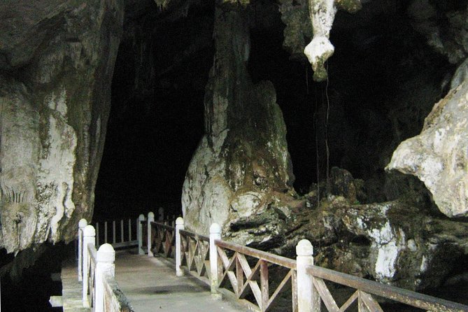 Private Mangrove Tour 2 Hour (max 8 People) - Experience Highlights