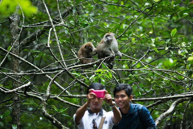 Private Mangrove Tour 3 Hour (max 8 People) - Key Points