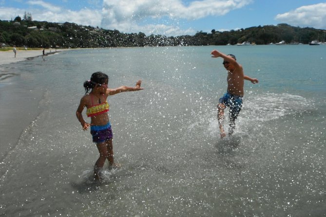 Private Maori Walking Tour With Wine Tasting and Lunch - Key Points
