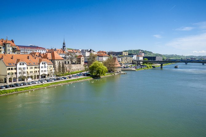 Private Maribor, Ptuj & Wine Road From Ljubljana - Wine Tasting Experience