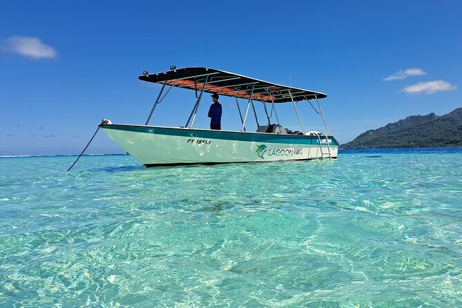Private Marine Excursion and snorkeling in the lagoon of Moorea - Exploring Moorea’s Lagoon: A Private Marine Snorkeling Adventure