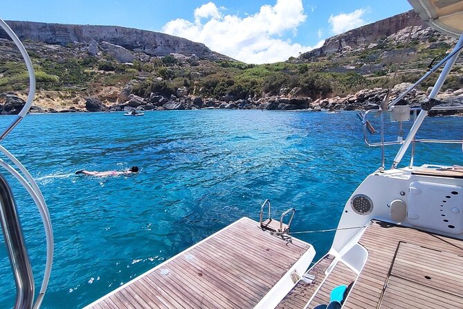 Private Marine Life Spotting - Dolphin Watching Ecomarine Malta - Highlights of the Experience