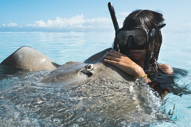 Private Marine Wildlife Adventure with Underwater Photography - An Overview of the Marine Wildlife Adventure in Moorea