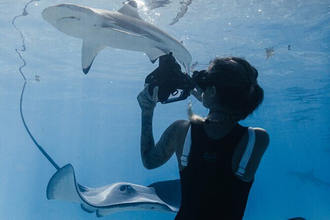 Private Marine Wildlife Adventure with Underwater Photography - Practical Details and Logistics