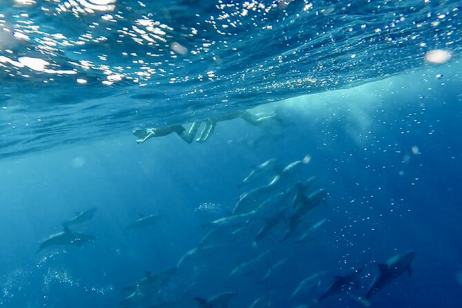 Private Marine Wildlife Boat Tour - What to Bring and Wear