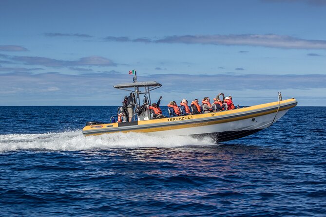 Private Marine Wildlife Boat Tour - Booking and Cancellation Policy