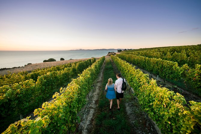 Private Marlborough Winery Tour - Customizable Experiences
