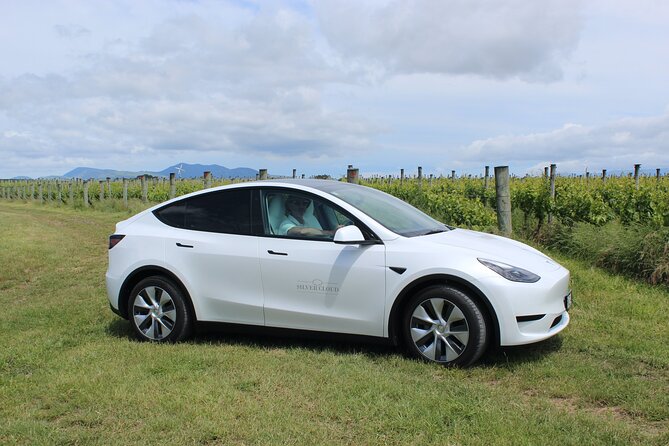Private Martinborough Wine Tour in an Electric Vehicle - Tesla Model Y - Host Feedback