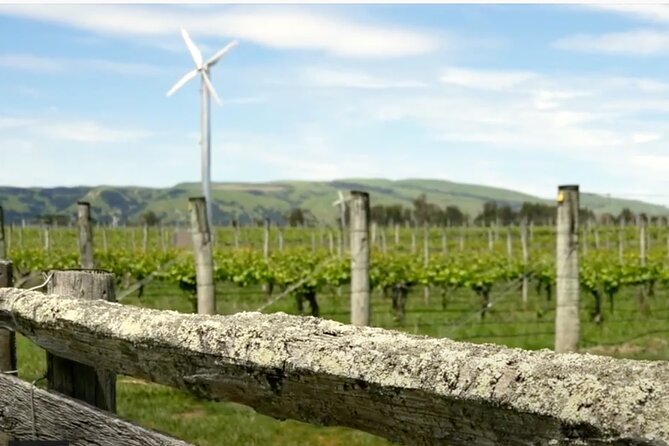 Private Martinborough Wine Tour in an Electric Vehicle - Tesla Model Y - Dining in Martinborough