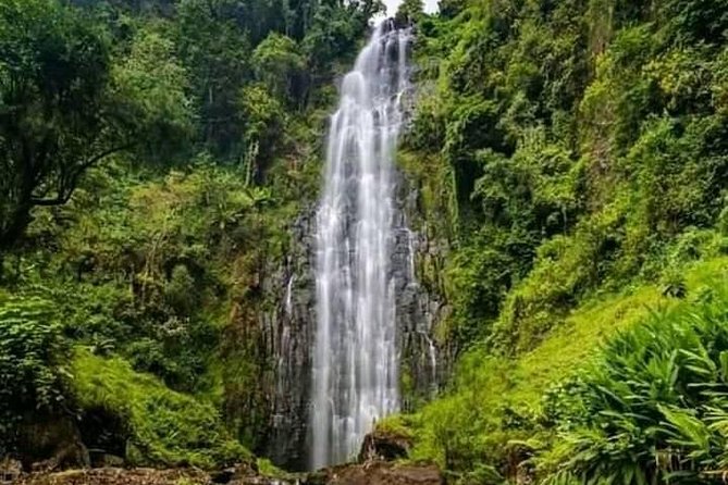 Private Materuni Waterfall & Coffee Tour. - Pickup and Timing Details