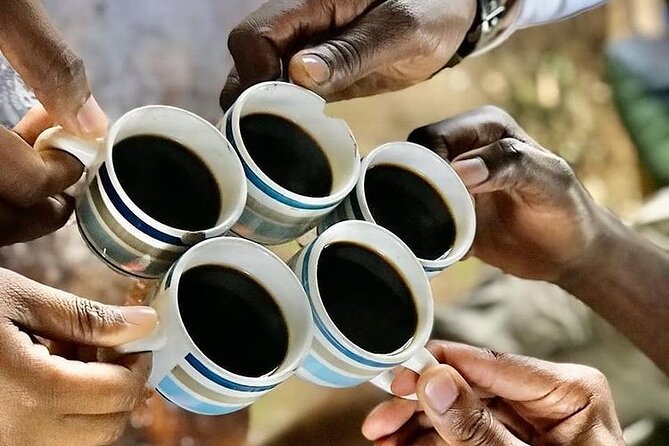 Private Materuni Waterfall & Coffee Tour. - Tour Highlights and Experiences