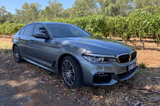 Private Mclaren Vale Wine Region Tour From Adelaide - Customizing Your Experience