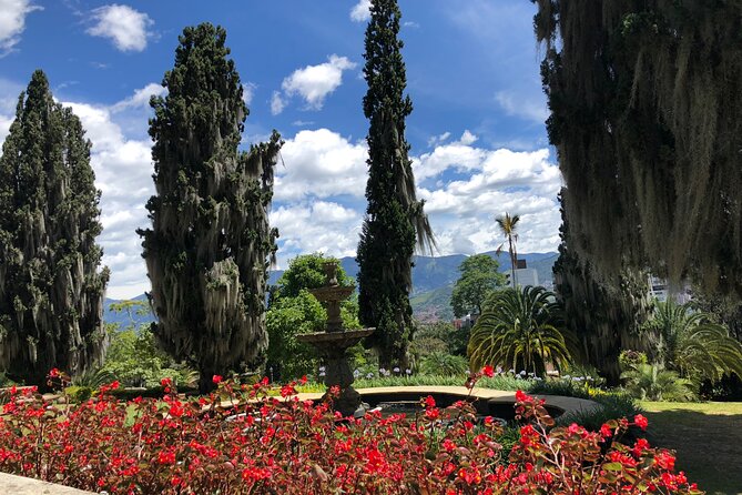Private Medellin Airport Transfer With English-Speaking Driver - Customer Reviews